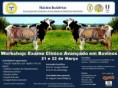 /album/historico-de-eventos/a6-jpg2/