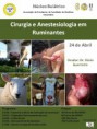 /album/historico-de-eventos/cirurgia-jpg/